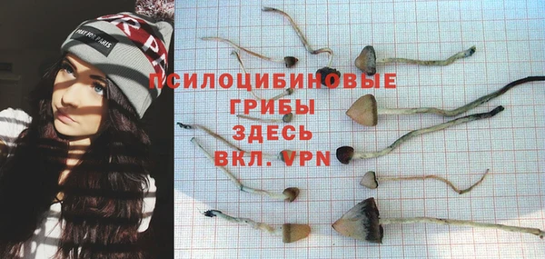 амф Армянск