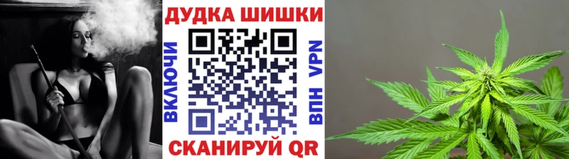 Бошки марихуана планчик  Нефтегорск 